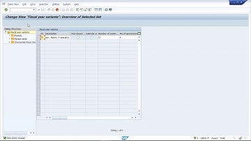 Basic Setting_1 in SAP FICO - Call @ +91 7416797921 for more details