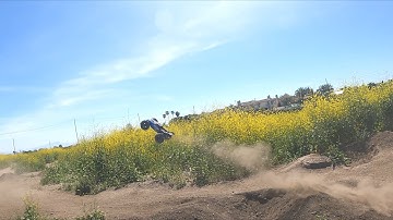 Huntington Beach RC & Dog adventure
