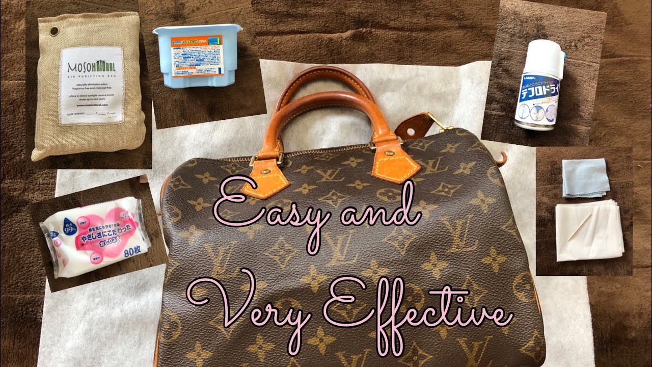 GUIDE] How Do You Safely Clean a Louis Vuitton Bag at Home? – Bagaholic