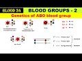Blood 34 | Genetics of ABO blood groups | Antigens biochemistry | Alleles of blood groups
