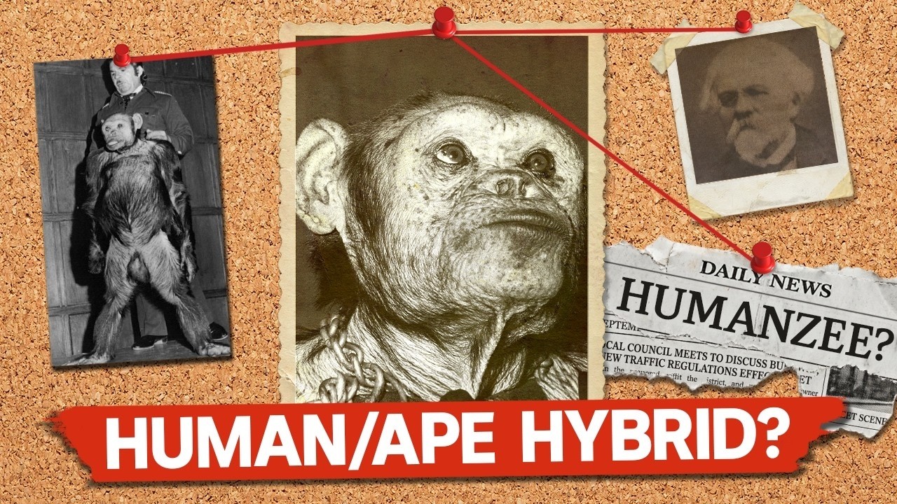 Latest Title & Thumbnail