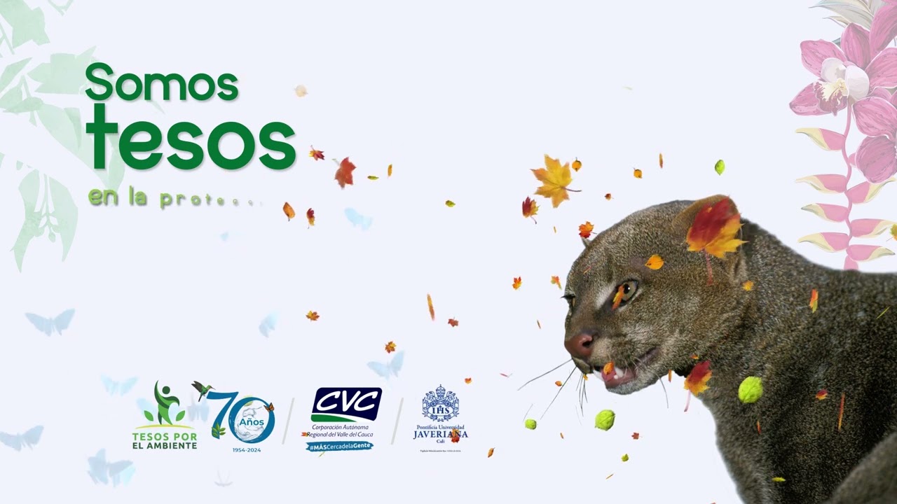 El amor por la tierra: la historia de Mariluz Cucuñame, una 