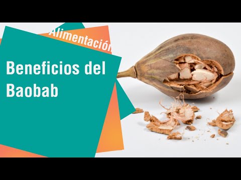Vídeo: Sota El Dosser Del Baobab