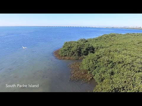Video: Hvordan Tilbringe Den Perfekte Langhelgen I South Padre Island, TX