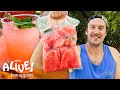 Brad Makes Fermented Watermelon Cocktails | It's Alive | Bon Appétit