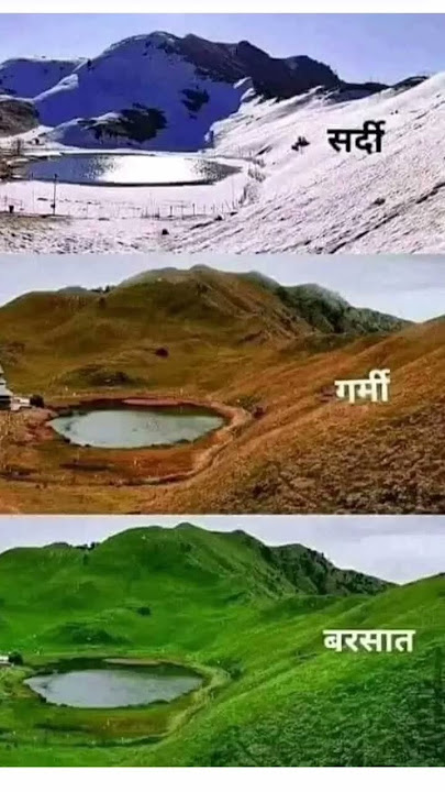 #kisaanwallah #farming #harvesting #shorts