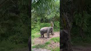  тайланд thailand пхукет phuket travel тай море путешествие отдых таиланд отпуск