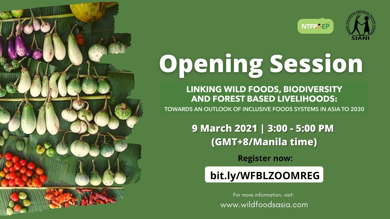 Tagalog An Outlook On Wild Foods And Inclusive Food Systems In Asia Tagalog An Outlook On Wild Foods And Inclusive Food Systems In Asia
