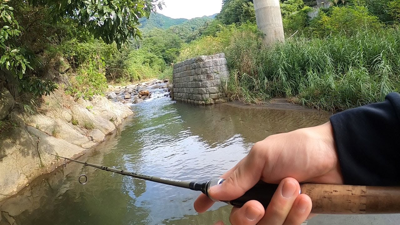 ついにあの魚がきた！日川で釣り