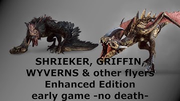 Witcher 3 Enhanced Edition 5: Shrieker, Griffins & Wyverns