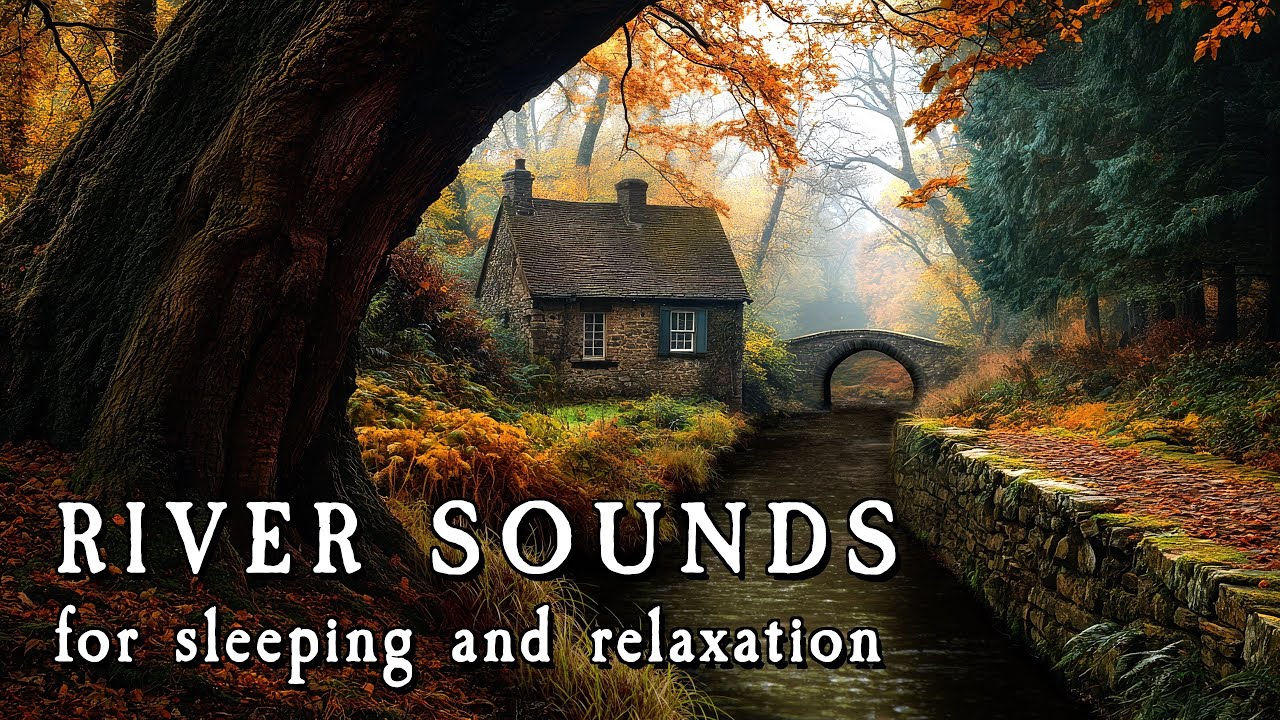 River Sounds for Sleeping and Relaxation 🍁 Fall Ambience 💤 - YouTube