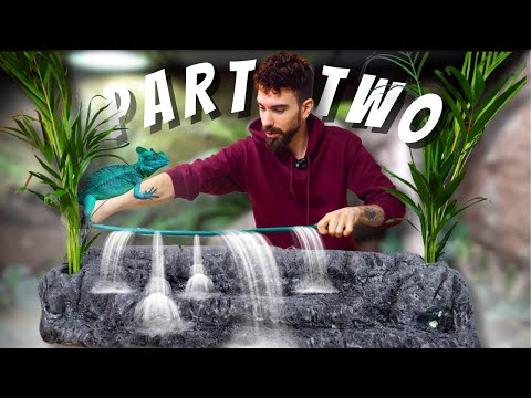 🌿XXL BASILISK PALUDARIUM
