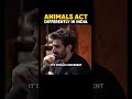 Animals Act Differently In India | @Junglekeeper - Raj Shamani #shorts