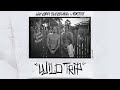 Denm x landon mcnamara  wild trip official audio