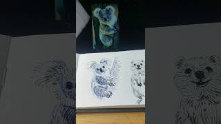 20 min sketch #koala #quokka #graphics #speedpaint #speeddrawing #sketch #drawing #funny