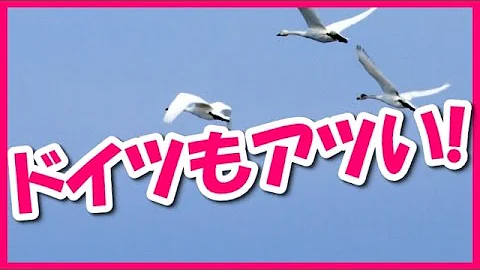 تحميل 進撃の巨人 海外の反応 ドイツ