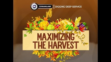 DIGGING DEEP SERVICE  || TOPIC: MAXIMIZING THE HARVEST