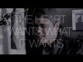 The Heart Wants What It Wants - Selena Gomez (Cover by Travis Atreo)