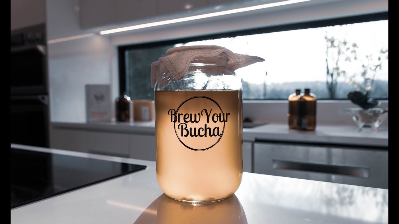 1 Gallon Glass Kombucha Jar with Lid - Bucha Brewers