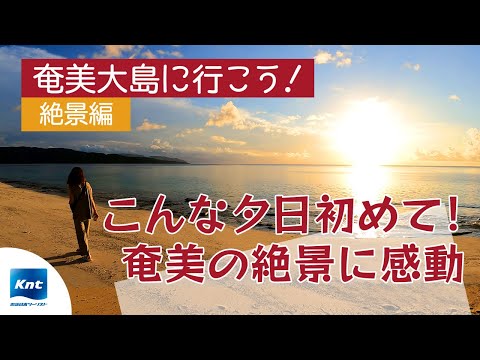 【奄美大島旅行 絶景編】海のおすすめ絶景スポット