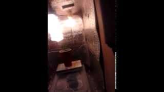 GYOB.tv-F1 Party Cup Grow pt1