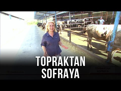 Topraktan Sofraya –