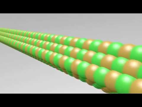 Dynamic Instability Of Microtubules