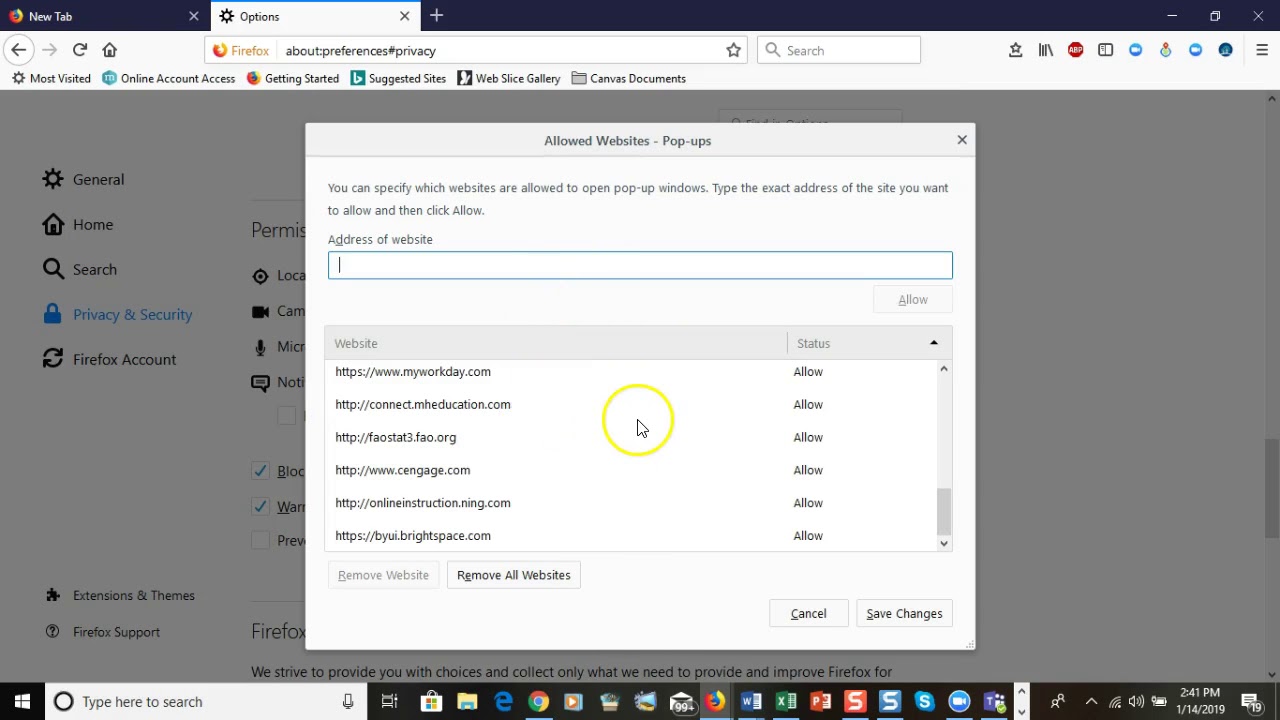 Allowing Cengage to Pass Popup Blockers