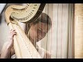 WOUTER LENAERTS - Concerto for harp and orchestra