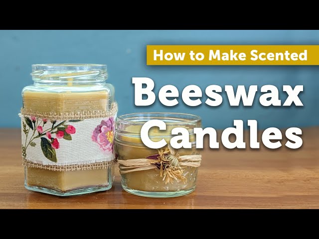 Making Bees Wax Candles - CraftExpert