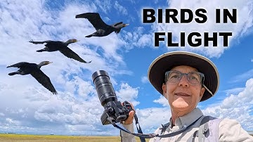 LUMIX G9ii - Slow Motion Birds in Flight