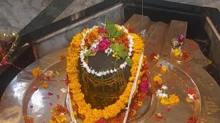 Bageeshdarshan Is Live Bageesh Nath Aarti Darshan