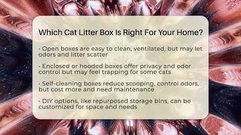 Which Cat Litter Box Is Right For Your Home? - Happy Cat Handbook