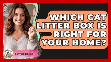 Which Cat Litter Box Is Right For Your Home? - Happy Cat Handbook