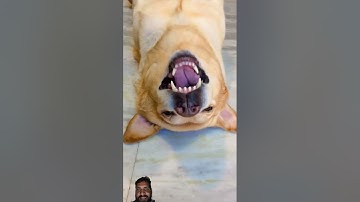 Jawan | Round2Hell New Video | R2H Nazim Waseem Jain New Video| Round2Hell Nazim WaseemJain NewVideo