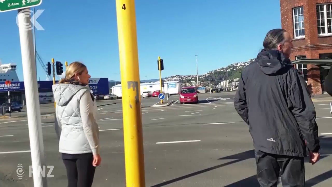 newspaper mockup Little hiding penguins released back to safety