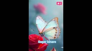 |🎵 Sagar Kinare Song Cover | Heart-Touching Melodic Vibes 🌊✨