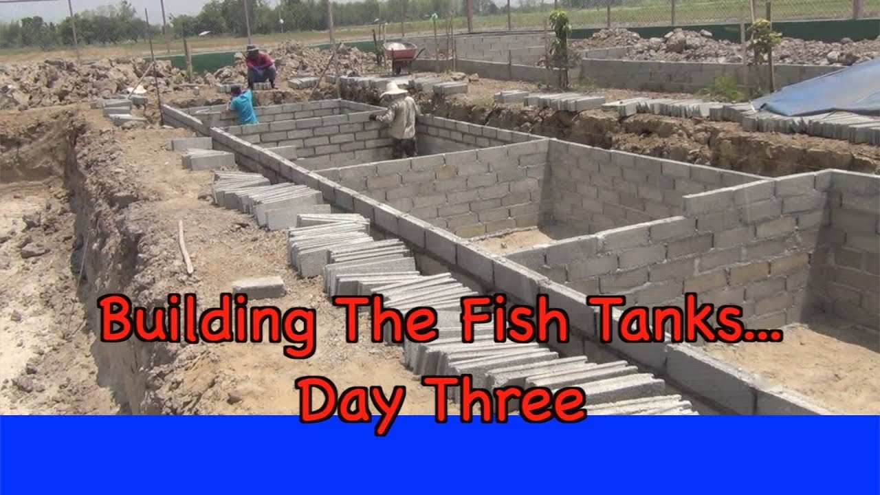 Building The Fish Tanks...Day Three - YouTube