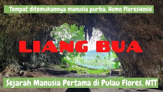 Liang Bua, tempat ditemukannya manusia purba Homo Floresiensis (Manusia Pertama di Pulau Flores)