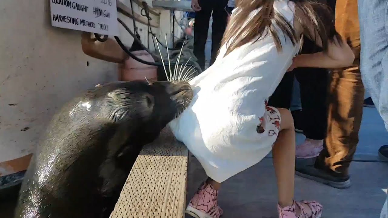 10 INSANE Animal Encounters in the Wild Caught on Camera in 2022 - YouTube