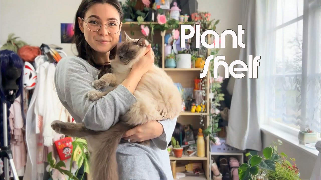 🌿 Display shelf Re-Arrangement | Plant Shelf | + Bonus Succulents Showcase 🌿