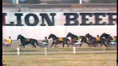 1984 Lion Brown Easter Cup - Addington, Christchurch: Norton