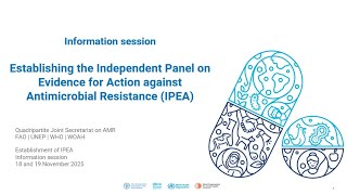 18 November - Session for Government and intergovernmental stakeholders - IPEA information session