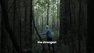 The Unstoppable Force | No Tomorrow | Motivation