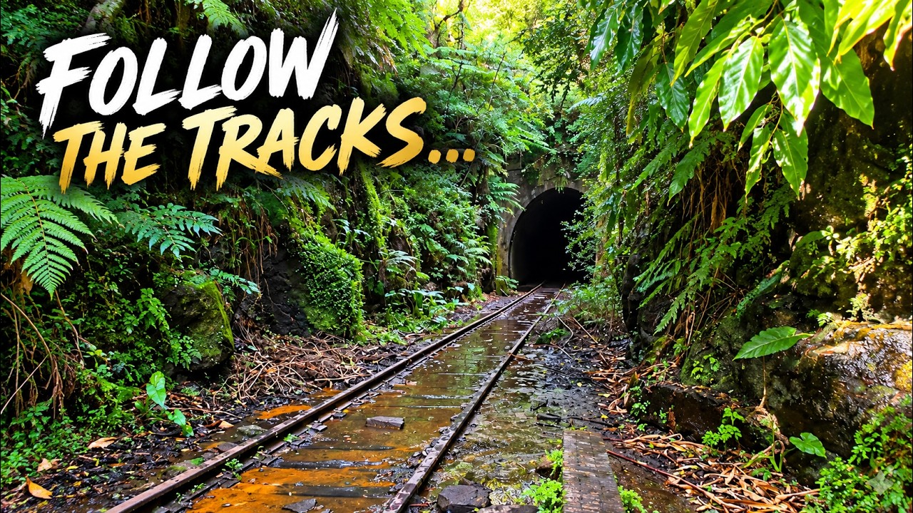 Inside Helensburgh Abandoned Glow Worm Tunnel | NSW