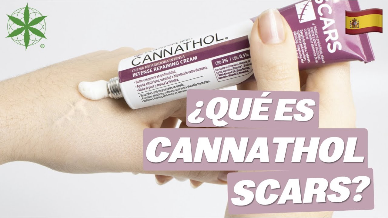 🇪🇸 ¿QUÉ ES CANNATHOL SCARS? 🌱 - PLANT OF LIFE