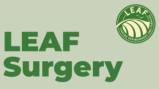 LEAF Surgery S1.E1 | LEAF Update