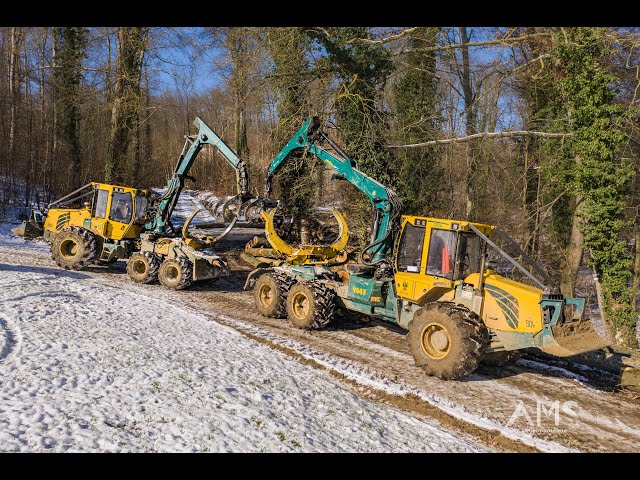 X2 HSM 6 roues, X2 KOMATSU, PELLE CASE & CISAILLE - EXPLOITATION FORESTIERE HAGMANN DAVID - ALSACE