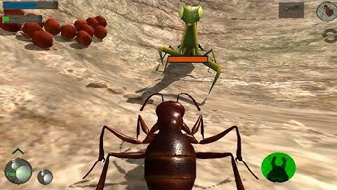 Ant 🐜 Simulator 3D: Insect 🐝🦋 Survival  Game 🎮- Android Gameplay