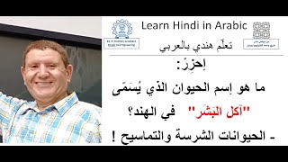 مغامرات و أسماء حيوانات في حديقة الحيوان  في الهند - تعلّم هندي بالعربي.درس38 Learn Hindi in Arabic